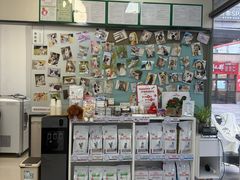 -爱妮康宠物医院·干细胞免疫细胞·肿瘤·心脏(张江店)