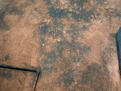 -河北医科大学第四医院(本部)