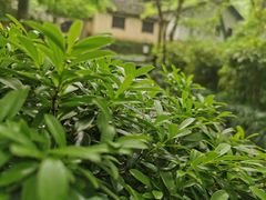 -法云安缦酒店