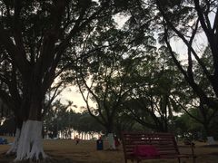-东莞植物园