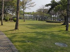-白鹭洲公园