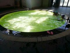 -BK博·康健身(金地格林小镇店)