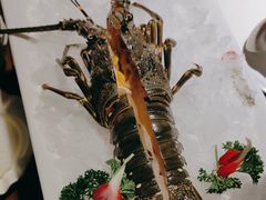 -扬之阿李菌汤火锅(1969店)
