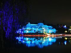 -大塘金香草谷