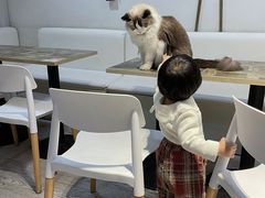 -小时光咖啡馆(北锣鼓巷店)