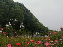 -南京邮电大学(仙林校区)