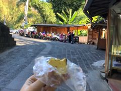 蔺大妈松花糕-蔺大妈松花糕