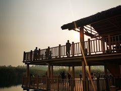 -白洋淀景区