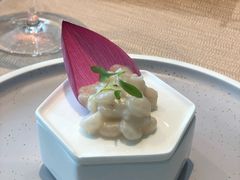 -诺莱仕游艇会