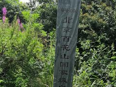 -白草畔自然风景区