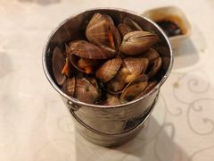 一桶黄蚬子-渔娘渔家丹东海鲜(东直门店)