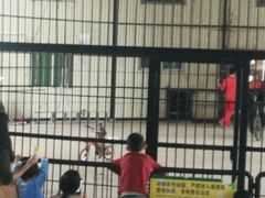 -广东茂名森林公园