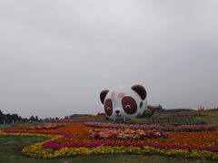 -空港花田景区