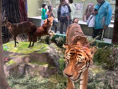 -国家自然博物馆