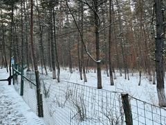 -帽儿山国家森林公园