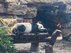 -石家庄市动物园