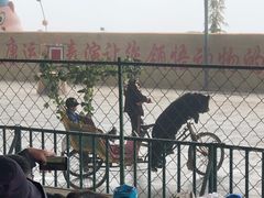 -东方熊牧场
