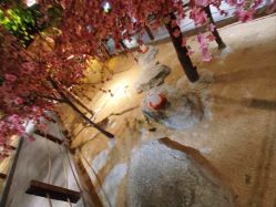 -酷嗒动物文化乐园(cutezoo西溪乐天城店)