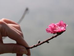 -松山湖南湖湾露营营地