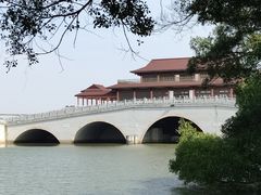 -大湾区中央湿地公园