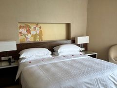 -芽庄喜来登水疗酒店