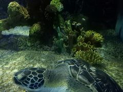 -苏州海洋馆
