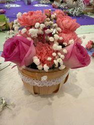 -保丽宝泰母婴护理院·月子中心·产康·中医(常州店)
