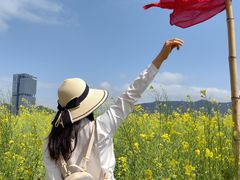 -光明小镇欢乐田园