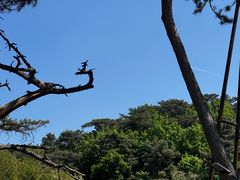 -红螺寺