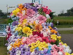 -杭州湾海上花田景区