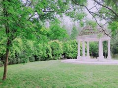 -合肥滨湖国家森林公园