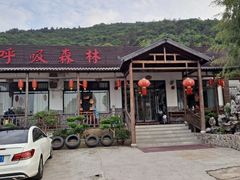 -呼吸森林·生态农庄农家乐私房菜