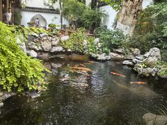 -鲤院·新中式美学·庭院餐厅(夫子庙店)