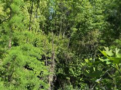 -昆山城市生态森林公园