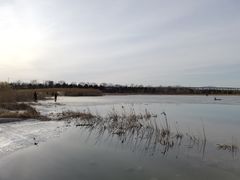 -绿堤公园