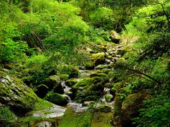 -公盂村
