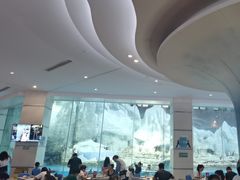 -帝企鹅自助餐厅•儿童岛•真企鹅(长隆企鹅酒店)