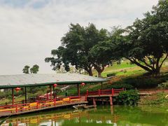 -松山湖梦幻百花洲