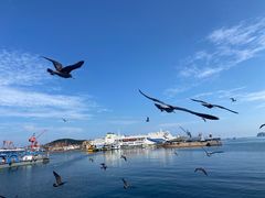 -海驴岛(荣成市)
