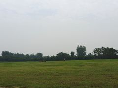 -汉长安城未央宫国家考古遗址公园