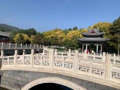 -晋祠公园