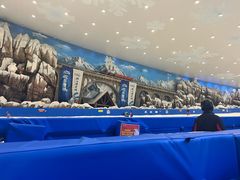 -湘江欢乐城欢乐雪域