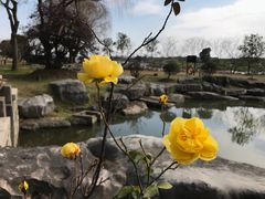 -同里湖大饭店-怡景轩中餐厅(同里古镇店)