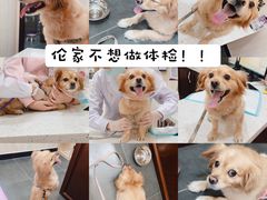 -宠爱国际动物医院·疑难骨科·心肾内科·皮肤科(太阳宫店)