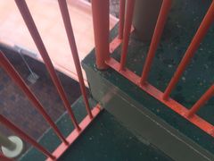 -重庆海昌加勒比海水世界