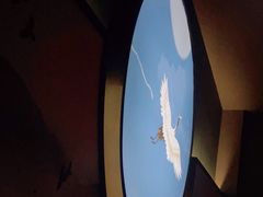 -鹤祥宫·影院足道·SPA连锁(鸿尊布吉店)