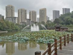 -龙头寺公园