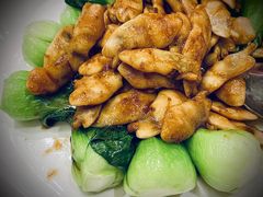 红烧蛏子肉-梅龙镇酒家(南京西路总店)