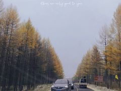 -塞罕坝国家级自然保护区