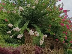 -武汉紫薇都市田园